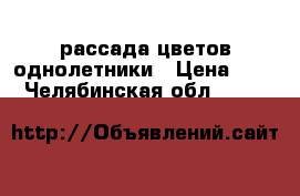 рассада цветов однолетники › Цена ­ 20 - Челябинская обл.  »    